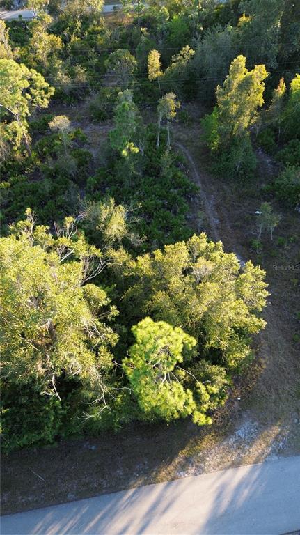 An aerial view shows a wooded, undeveloped lot adjacent to a paved road — 27481 SENATOR DRIVE, PUNTA GORDA, FL
