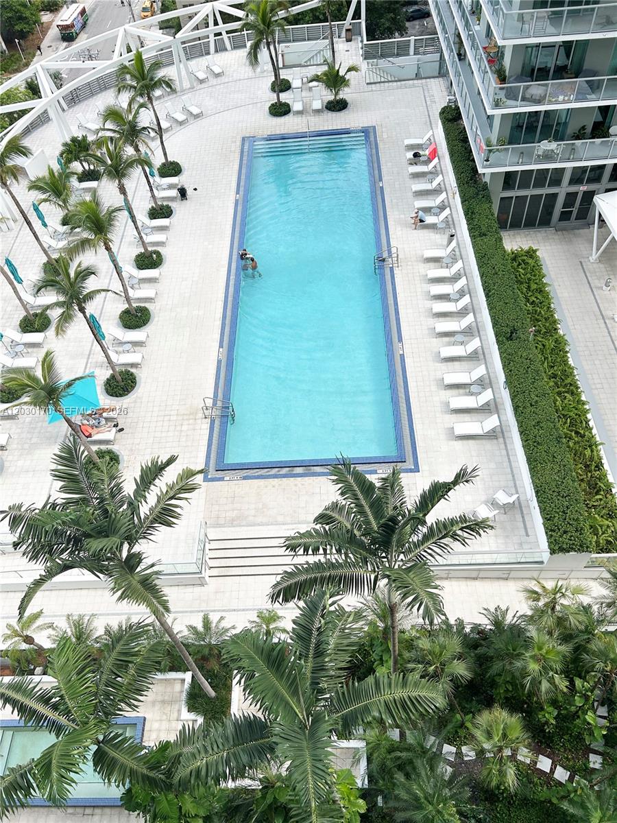 An aerial view shows a rectangular swimming pool surrounded by lounge chairs and palm trees — 79 SW 12th St, Miami FL 33130, MIAMI, FL