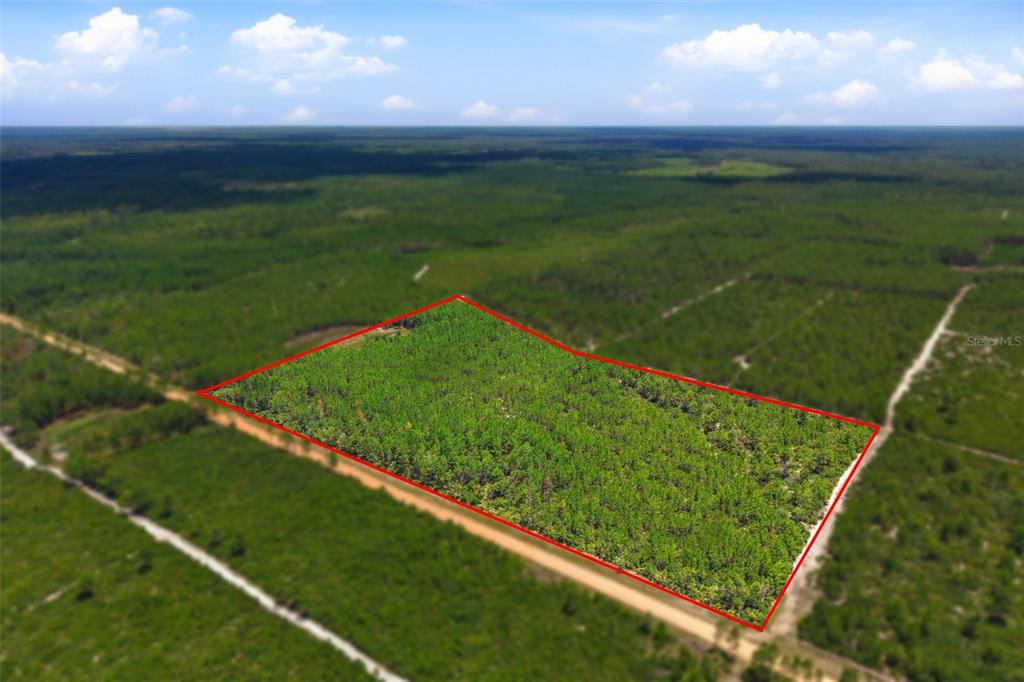 An aerial view shows a rectangular plot of land outlined in red amidst forested terrain — LOT 70 MAGGIE JONES ROAD ROAD, EUSTIS, FL