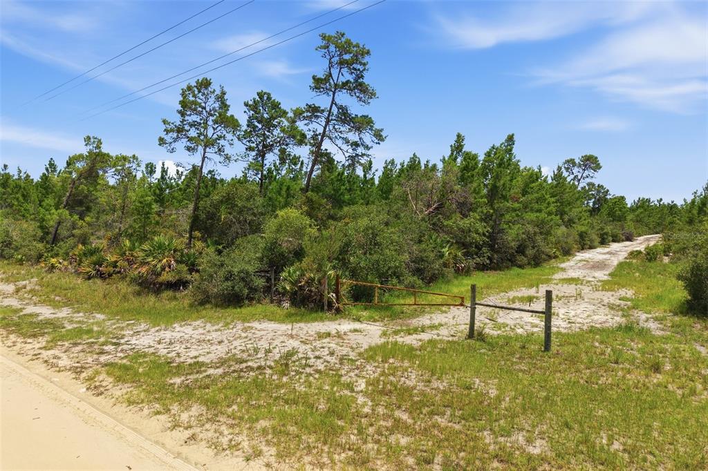 A dirt road leads to a gated entrance of a wooded, undeveloped plot of land — LOT 70 MAGGIE JONES ROAD ROAD, EUSTIS, FL