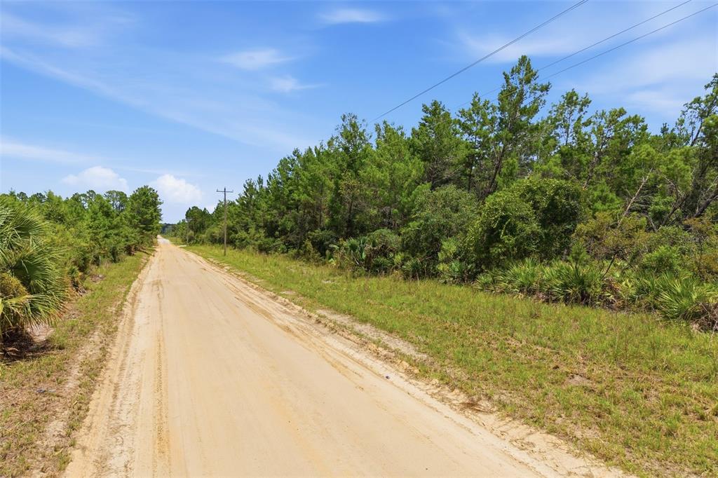 A dirt road runs alongside a dense forest under a bright blue sky — LOT 70 MAGGIE JONES ROAD ROAD, EUSTIS, FL