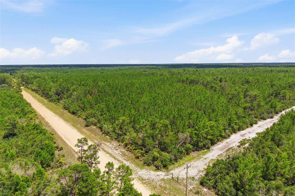 An aerial view shows a dirt road intersecting through a dense, green pine forest — LOT 70 MAGGIE JONES ROAD ROAD, EUSTIS, FL