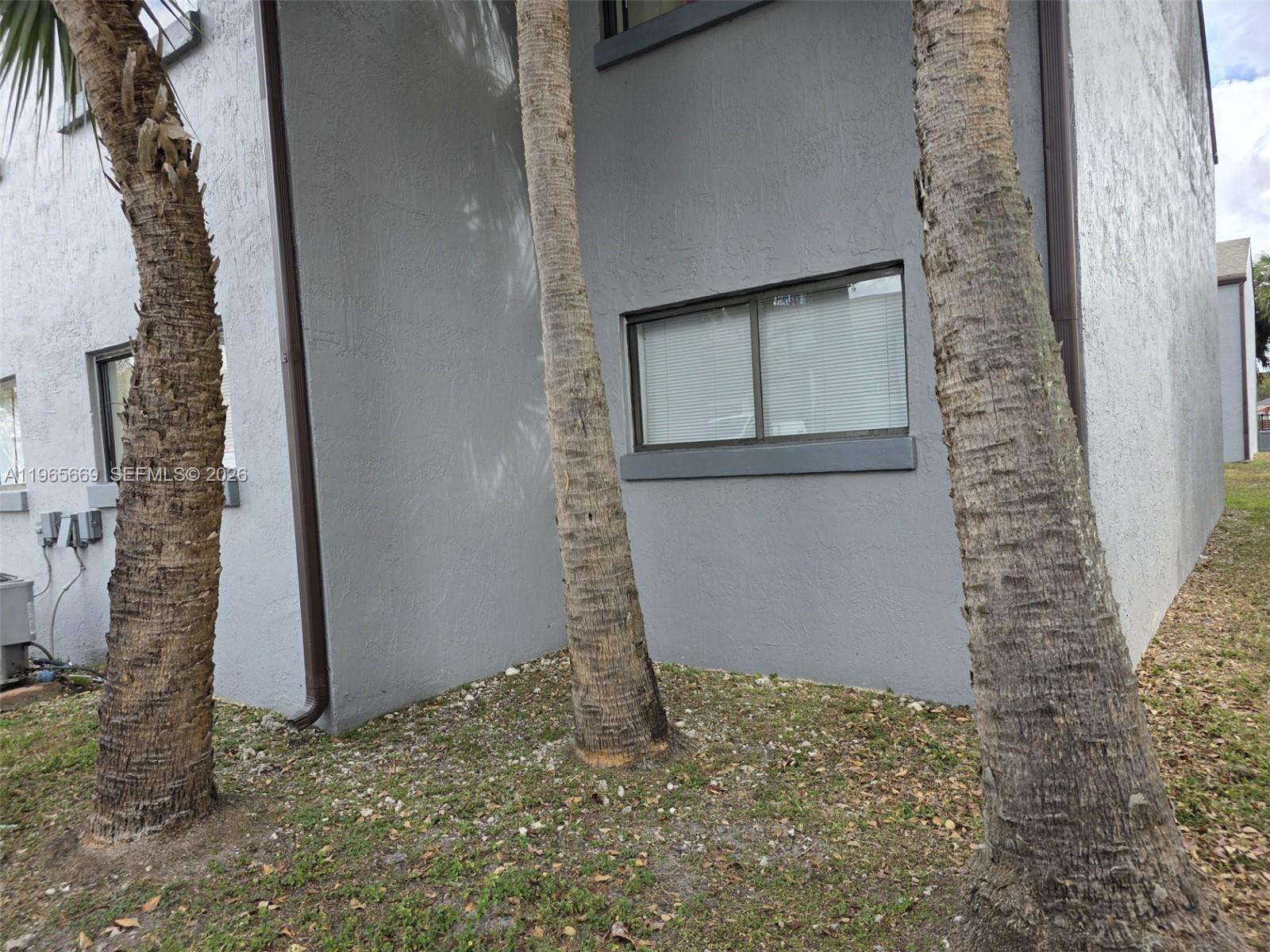 The exterior of a gray building features three palm trees and two windows — 7421 SW 152nd Ave # 101, Miami FL 33193, MIAMI, FL