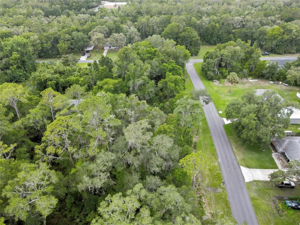 An aerial view shows a paved road running alongside a dense, wooded residential lot — 1048 W MAXIMILIAN PLACE, CITRUS SPRINGS, FL