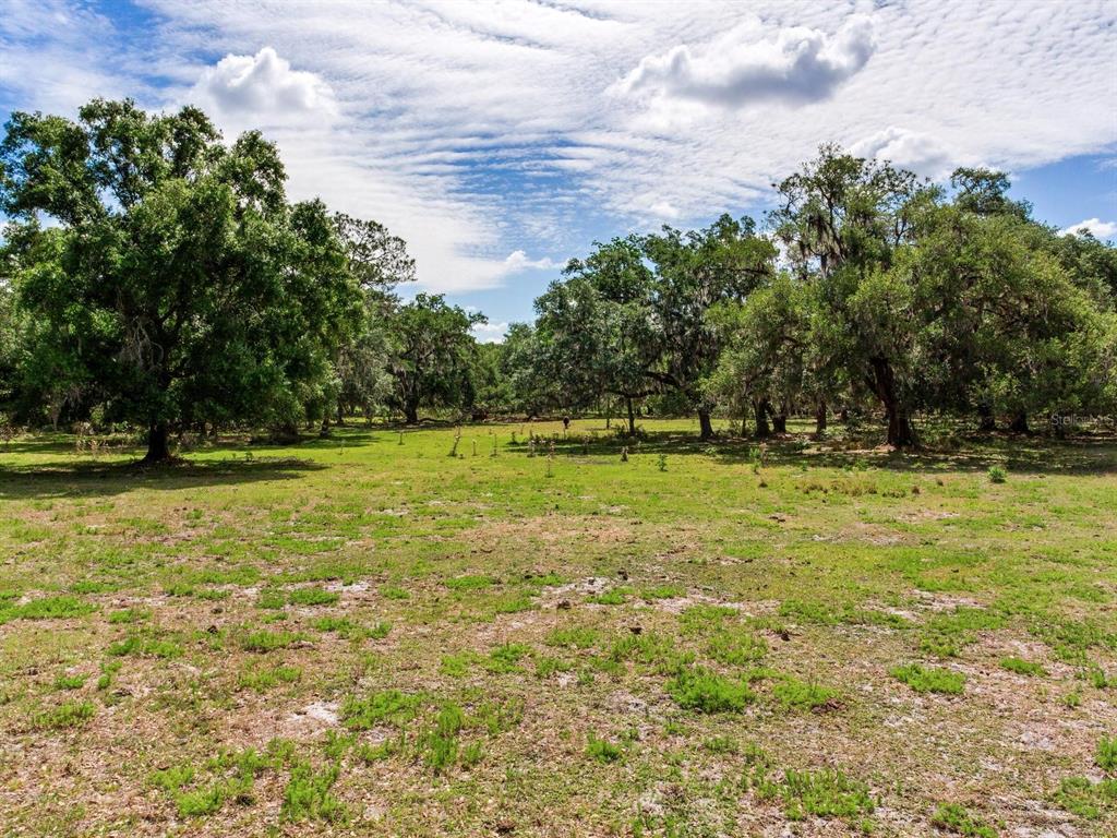 A grassy, open field is surrounded by mature oak trees under a cloudy blue sky — 12005 KNIGHTS GRIFFIN ROAD, THONOTOSASSA, FL