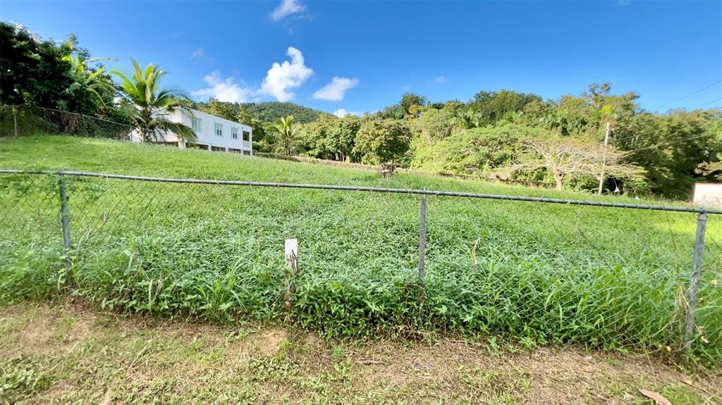 A chain-link fence borders a grassy, sloped lot with a white house in the background — Urb. Villas de Luquillo C 15, LUQUILLO, PR