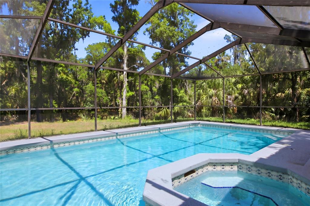 A screened-in swimming pool and attached hot tub overlook a wooded backyard — 8315 REVELS ROAD, RIVERVIEW, FL