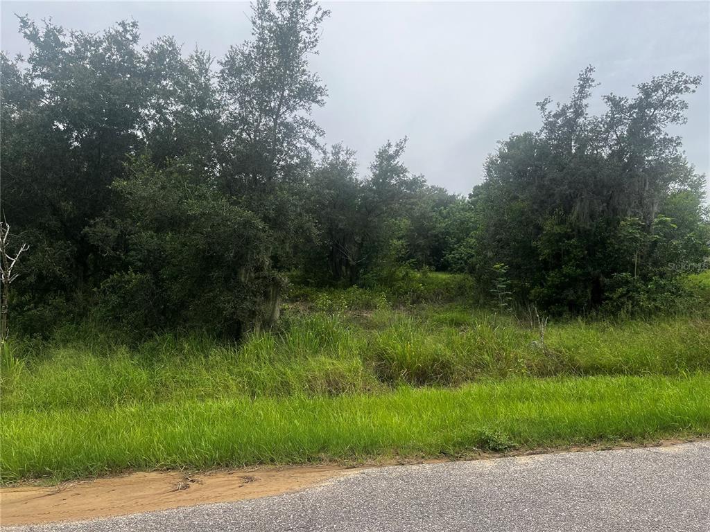 A vacant, wooded lot is viewed from the edge of an asphalt road — 2370 LAKE EASY ROAD, BABSON PARK, FL