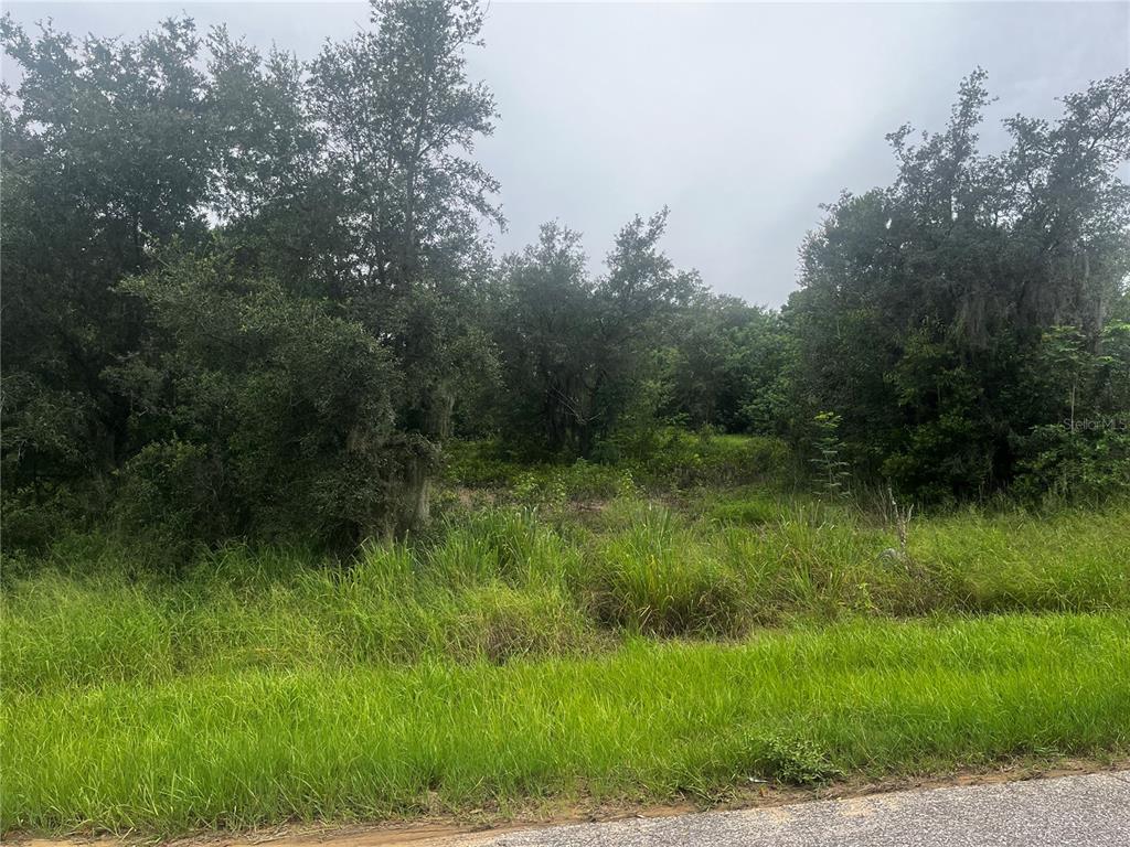 A vacant, overgrown lot with tall grass and mature trees viewed from a paved road — 2370 LAKE EASY ROAD, BABSON PARK, FL