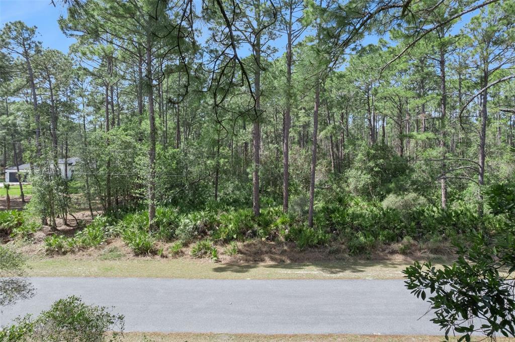 CASHEW STREET, EUSTIS, FL — photo 4 of 25