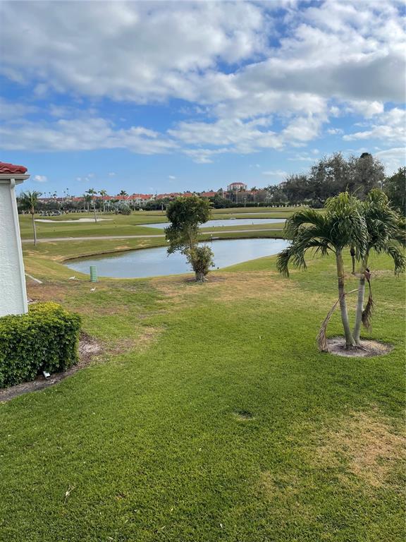 A view of a grassy lawn, a small pond, and palm trees on a golf course — 6260 SUN BOULEVARD UNIT 1, ST PETERSBURG, FL