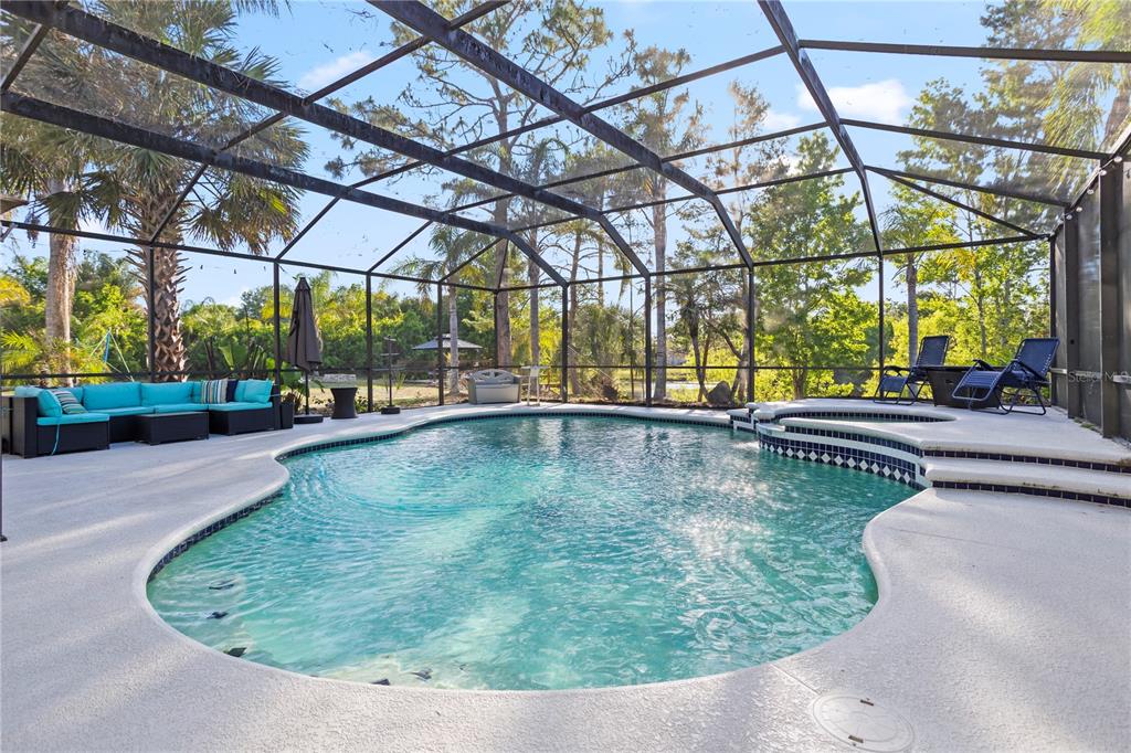 A screened-in swimming pool and spa area with patio furniture and surrounding trees — 1140 GALLANT FOX WAY, CHULUOTA, FL