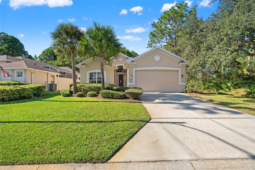 A single-story tan house with a two-car garage, palm trees, and a manicured lawn — 10199 HOLLY BERRY DRIVE, WEEKI WACHEE, FL