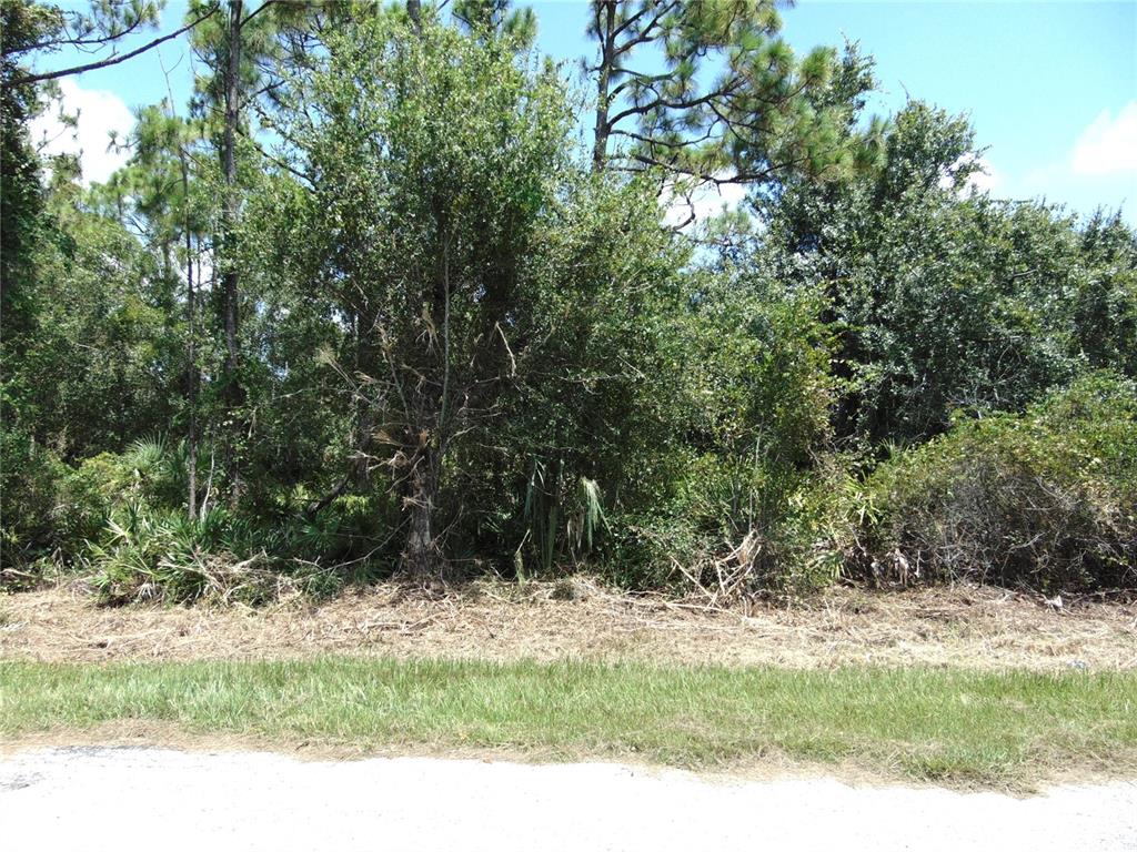A view of a wooded, undeveloped lot with a grassy foreground and dense trees — 23376 CORINNE AVENUE, PORT CHARLOTTE, FL