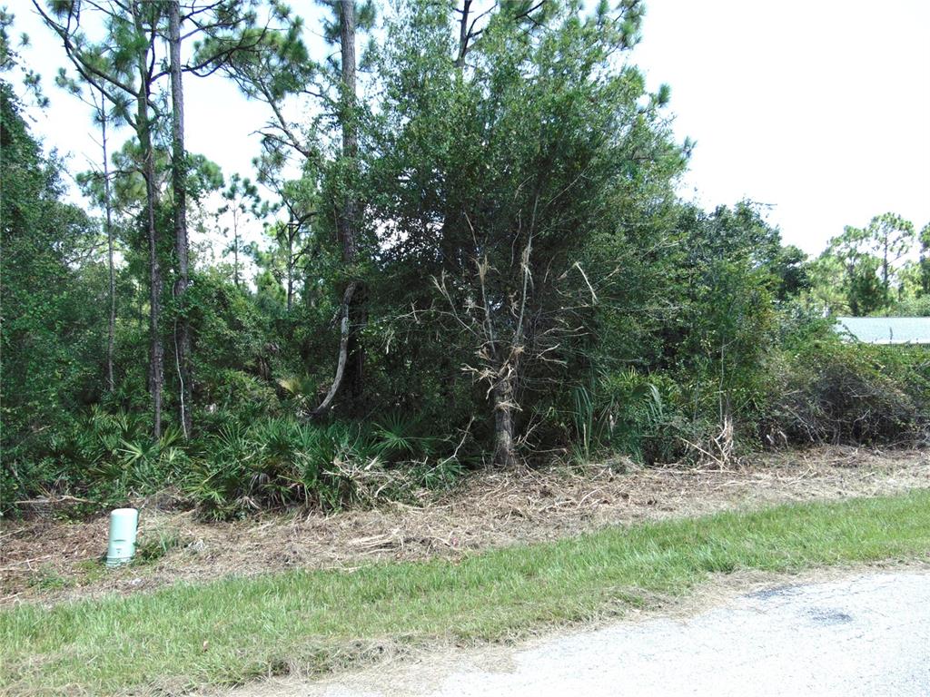 A wooded, undeveloped residential lot features dense vegetation and a utility box near the road — 23376 CORINNE AVENUE, PORT CHARLOTTE, FL