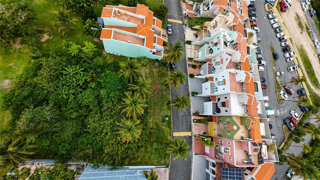 An aerial view shows a residential street lined with colorful townhouses and adjacent palm trees — MonteSol 11 PALMANOVA UNIT 150 - 151, HUMACAO, PR