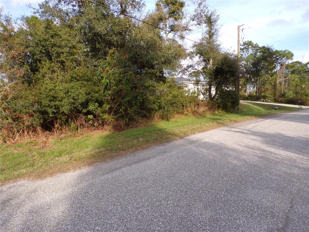 A paved road runs alongside a vacant, heavily wooded lot with a house visible behind — MEROLLA ROAD, NORTH PORT, FL