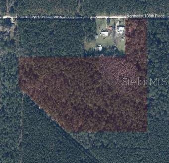 An aerial view shows a rectangular plot of wooded land adjacent to a residential property — TBD NE 108TH PLACE, WALDO, FL