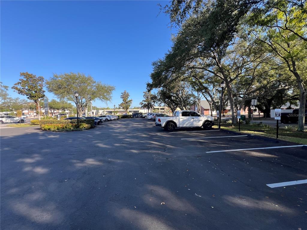 A paved parking lot with several parked cars is shaded by large, mature trees — 3410 HENDERSON BOULEVARD, TAMPA, FL