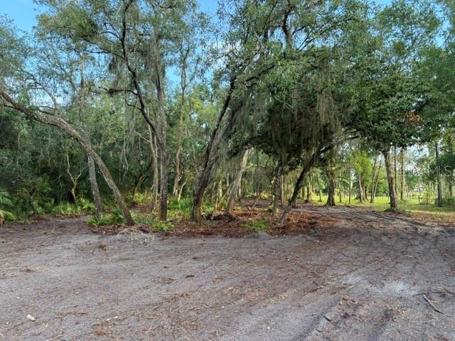 A dirt clearing leads into a wooded area with tall trees draped in Spanish moss — SPRING GARDEN RANCH RD, DE LEON SPRINGS, FL