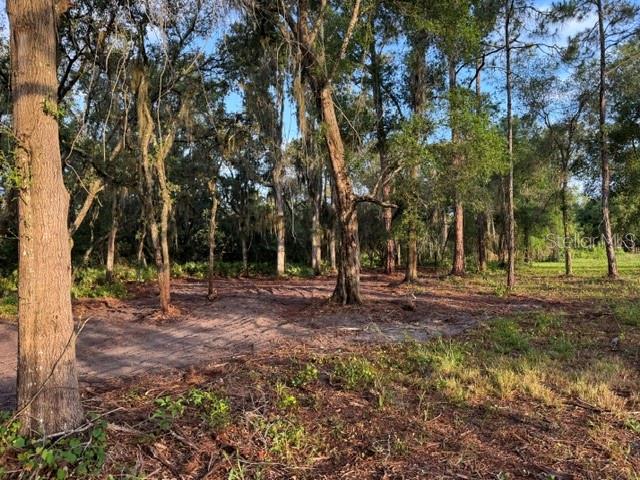A wooded lot with sandy ground and tall trees under a blue sky — SPRING GARDEN RANCH RD, DE LEON SPRINGS, FL