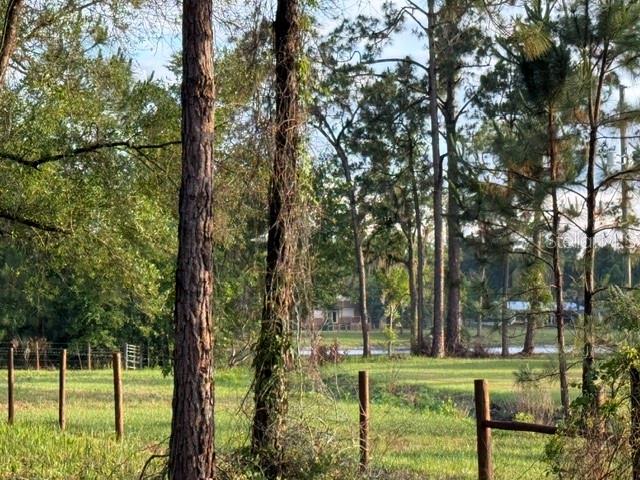 A grassy field with a wooden fence and tall pine trees in the background — SPRING GARDEN RANCH RD, DE LEON SPRINGS, FL