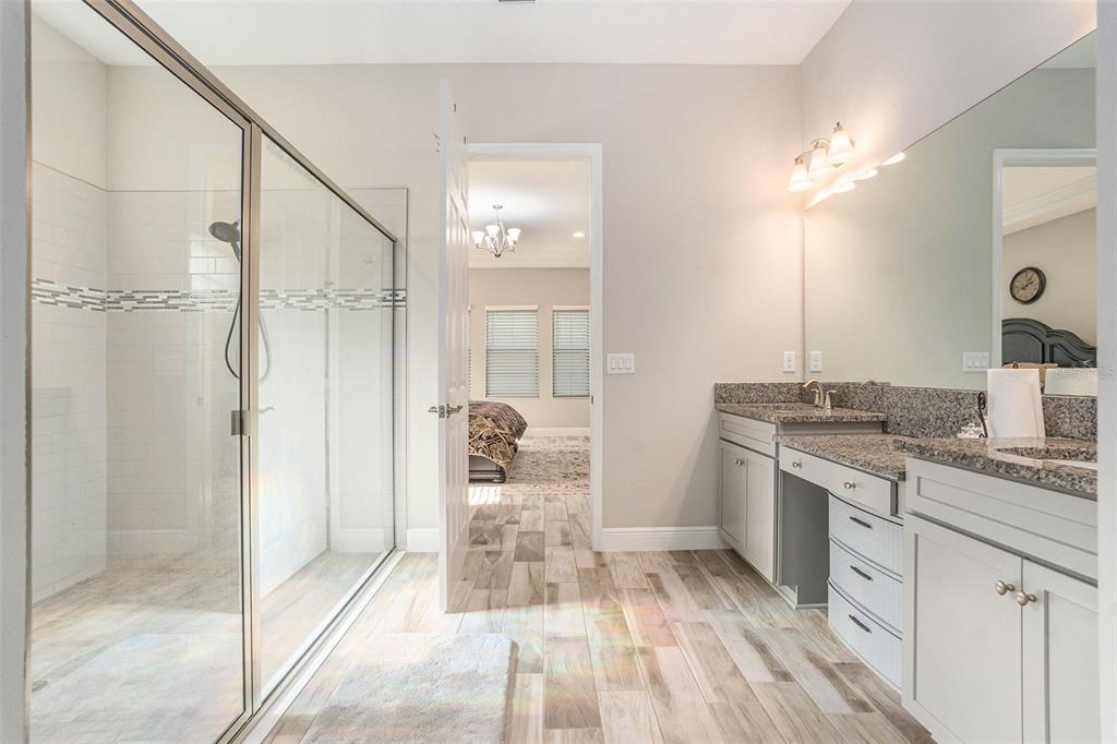 A bathroom features a glass-enclosed shower, a double vanity with granite countertops, and wood-look flooring — 21698 AMELIA ROSE WAY WAY, LAND O LAKES, FL