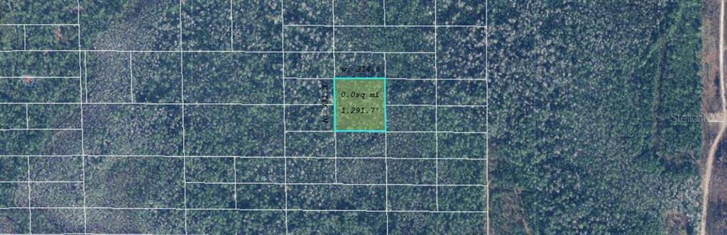 This is an aerial map showing a rectangular plot of land highlighted in light blue — DILL ROAD, ORLANDO, FL