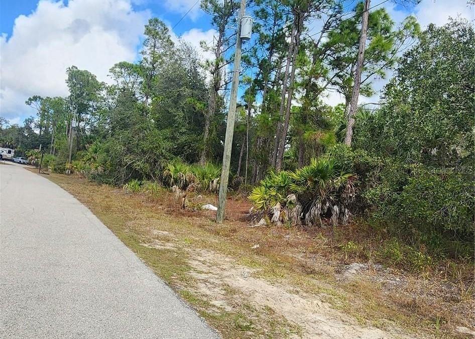 A paved road runs alongside a wooded lot with a utility pole and vegetation — ANANAS ROAD, NORTH PORT, FL