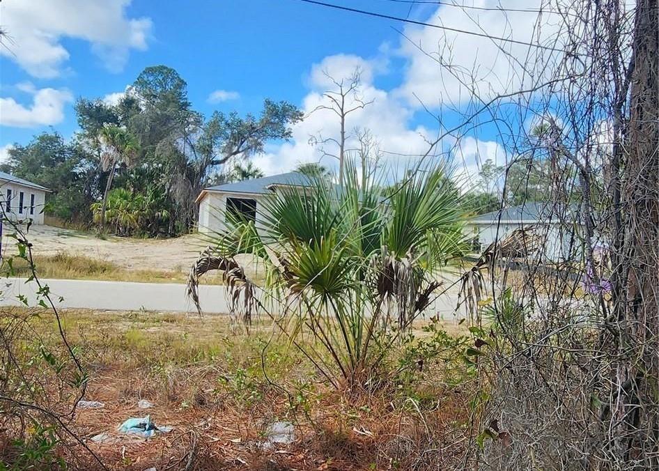A view of a residential street featuring a palm tree and houses under construction — ANANAS ROAD, NORTH PORT, FL