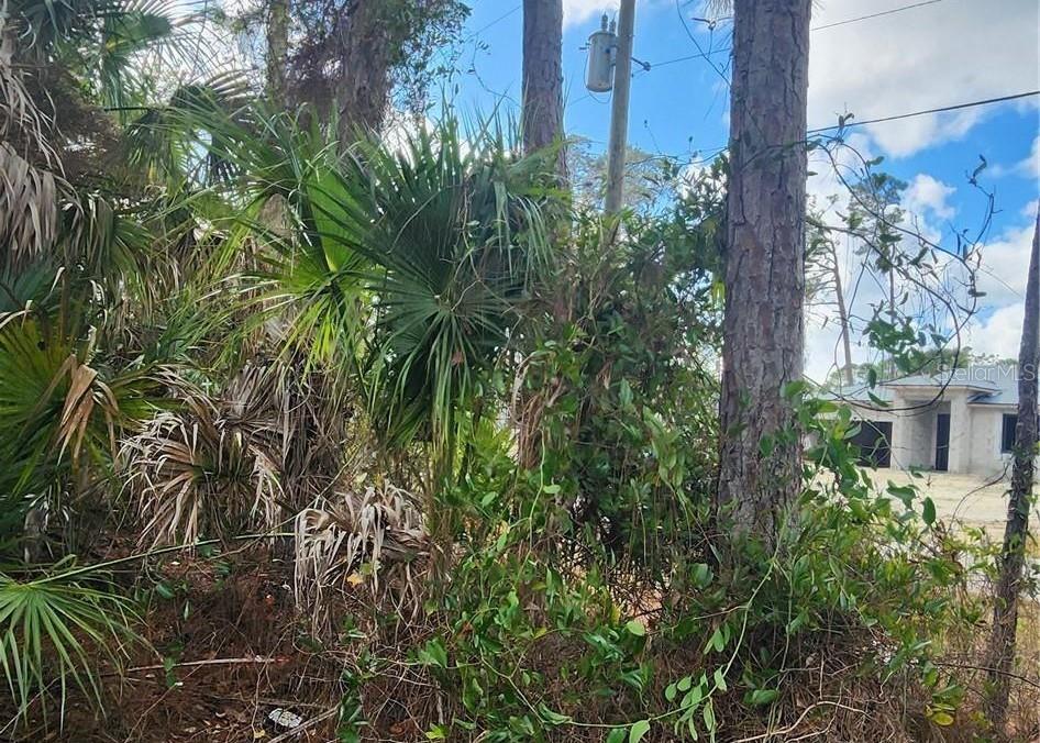 A view of a wooded lot with palm trees and a house under construction nearby — ANANAS ROAD, NORTH PORT, FL