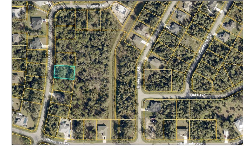This is an aerial map showing a vacant residential lot outlined in blue — ANANAS ROAD, NORTH PORT, FL
