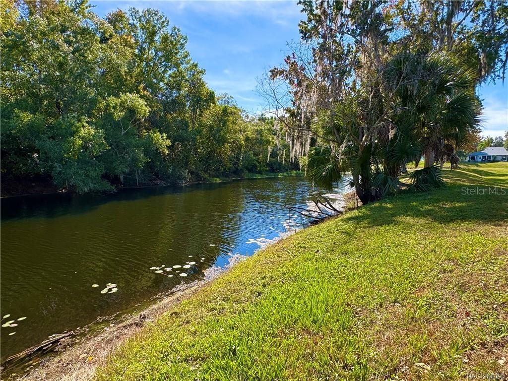 A grassy bank slopes down to a narrow canal lined with trees and palm trees — 163 N GOLF HARBOR PATH, INVERNESS, FL
