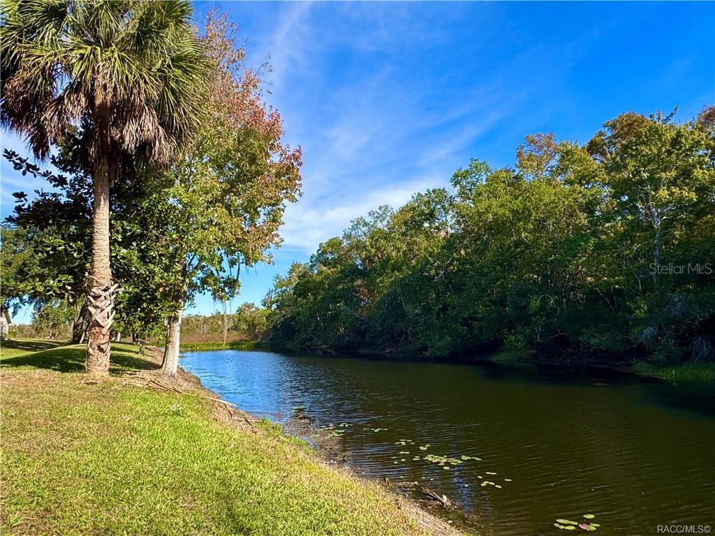 A grassy bank slopes down to a narrow pond surrounded by trees and a palm — 163 N GOLF HARBOR PATH, INVERNESS, FL