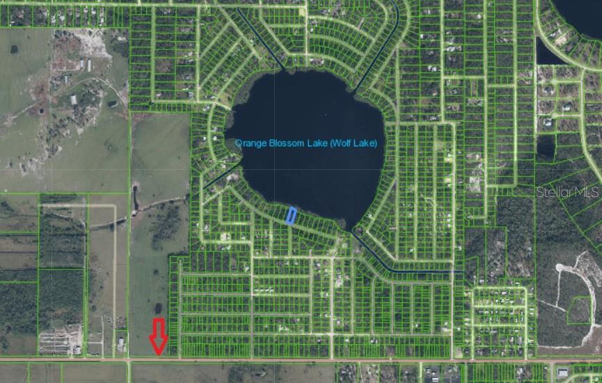 This is a map showing a residential area surrounding Orange Blossom Lake with highlighted properties — 1302 LAKESIDE DRIVE S, SEBRING, FL