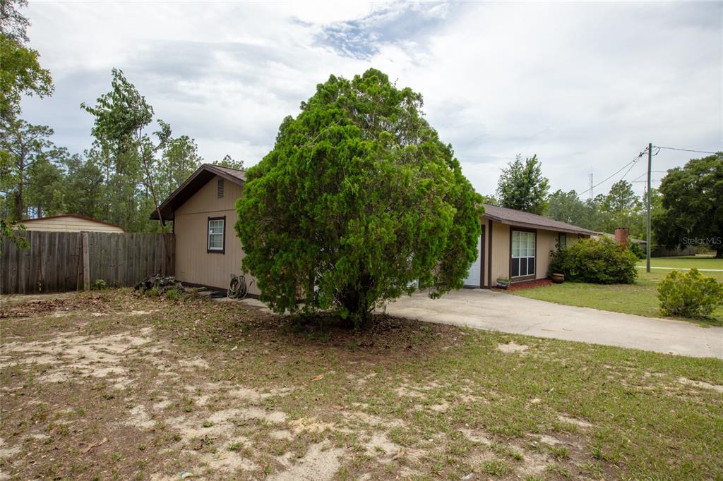 A single-story house with tan siding, a concrete driveway, and a large central evergreen tree — 692 SE 41ST STREET, KEYSTONE HEIGHTS, FL