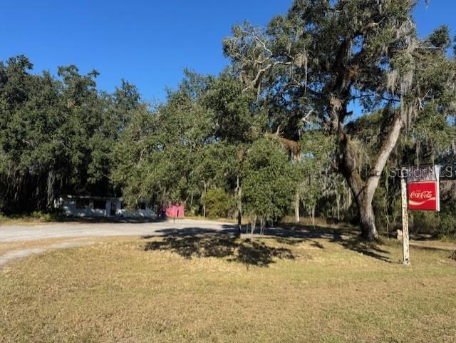 A gravel driveway leads to a small building partially obscured by large, moss-draped oak trees — 11542 S US HIGHWAY 301, WEBSTER, FL