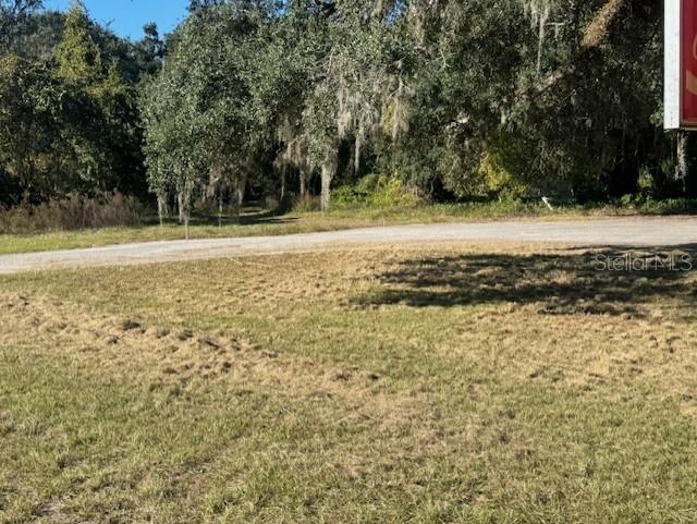 A grassy lot sits in front of a line of trees with hanging Spanish moss — 11542 S US HIGHWAY 301, WEBSTER, FL