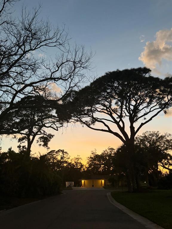 A paved driveway leads toward a house at sunset framed by large, silhouetted trees — 5004 MEDALIST ROAD, SARASOTA, FL