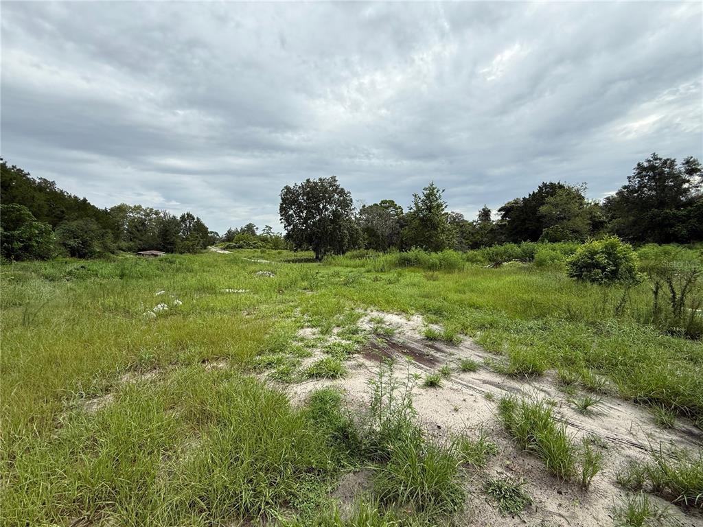 A wide, grassy, undeveloped lot features sandy ground and scattered trees under a cloudy sky — 16036 BOSLEY DRIVE, SPRING HILL, FL