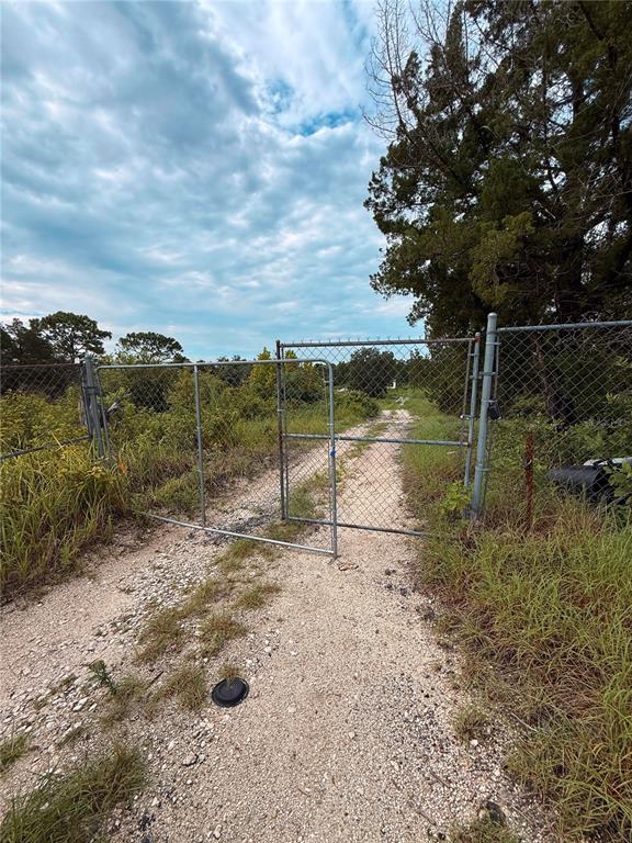 A gravel path leads through an open chain-link gate into a wooded, overgrown lot — 16036 BOSLEY DRIVE, SPRING HILL, FL