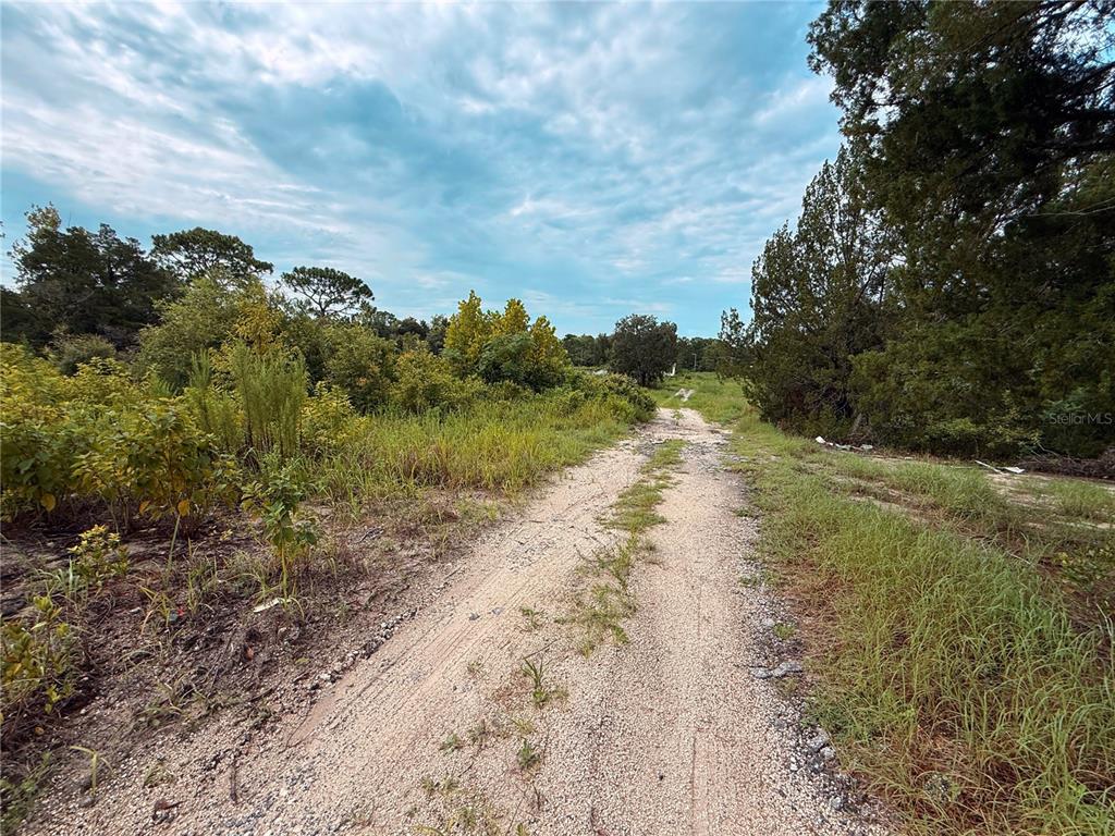 A dirt path leads through an overgrown, grassy lot surrounded by trees under a cloudy sky — 16036 BOSLEY DRIVE, SPRING HILL, FL