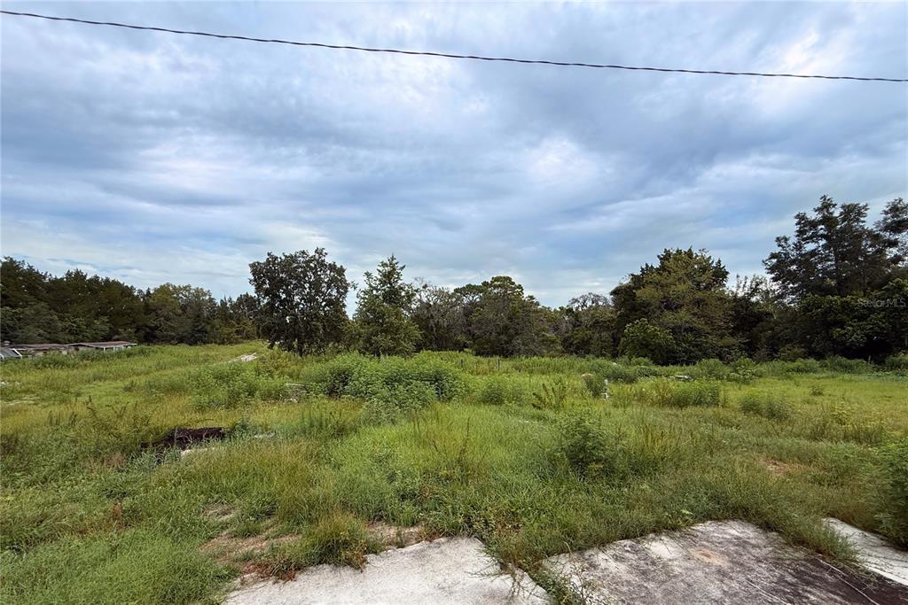 An overgrown grassy lot with scattered trees under a cloudy sky — 16036 BOSLEY DRIVE, SPRING HILL, FL