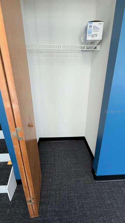 A small closet with a wire shelf and dark carpeting features a wooden folding door — 4333 SILVER STAR ROAD UNIT 17, ORLANDO, FL