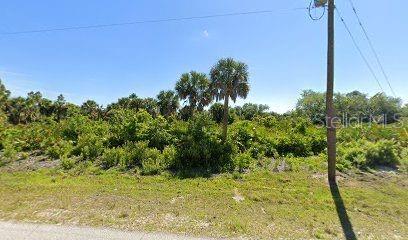 A vacant, overgrown lot with palm trees and a utility pole under a blue sky — 7098 PRINCETON STREET, PORT CHARLOTTE, FL