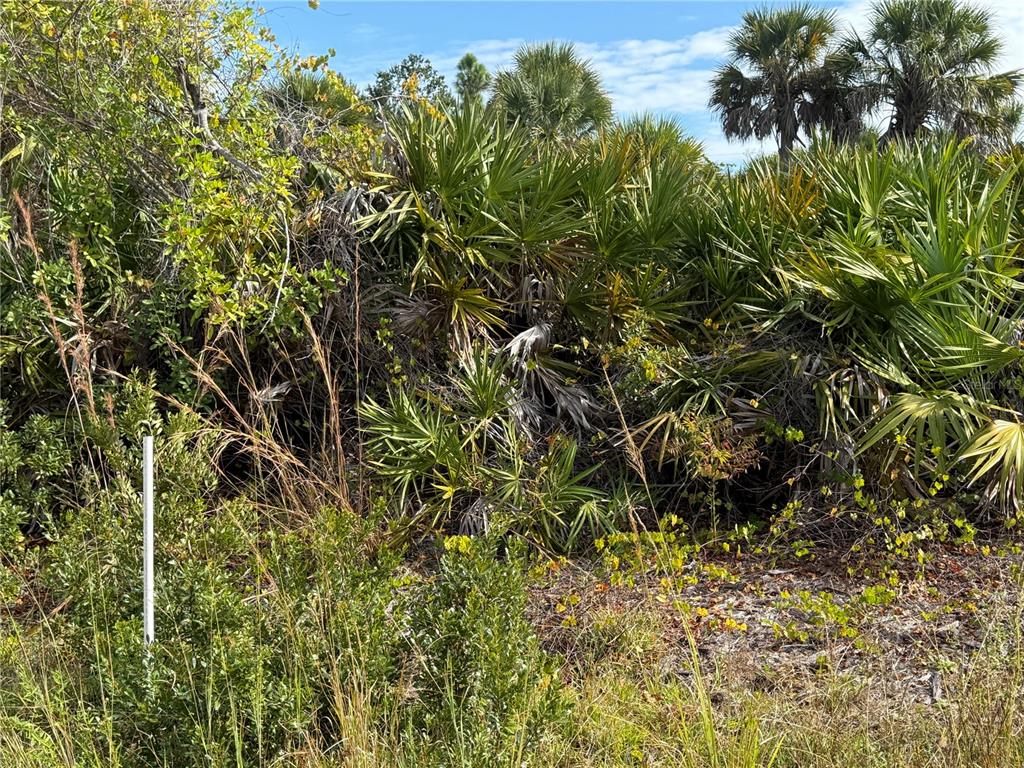 A white survey marker stands in a dense area of Florida scrub and palm trees — 7098 PRINCETON STREET, PORT CHARLOTTE, FL