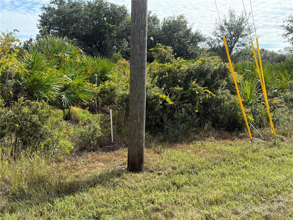 A utility pole stands in a grassy area with dense vegetation and yellow guy wires — 7098 PRINCETON STREET, PORT CHARLOTTE, FL