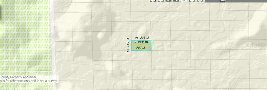 This is a map showing a rectangular land parcel with dimensions of 333.3 by 160.4 feet — DILL ROAD, ORLANDO, FL