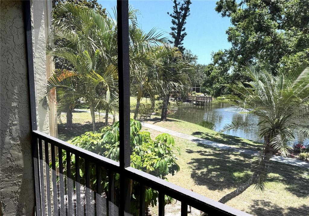 A view of a pond and palm trees from a screened-in balcony — 425 30TH AVENUE W UNIT C204, BRADENTON, FL