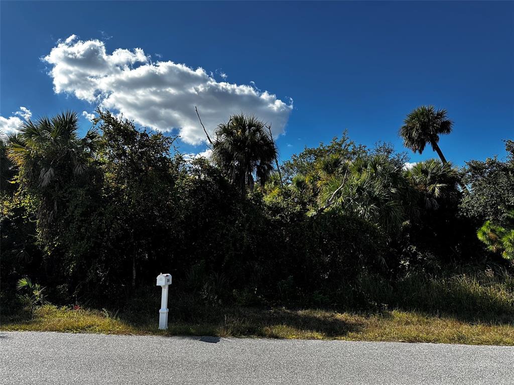 347 TROUTDALE STREET, PORT CHARLOTTE, FL — photo 2 of 3